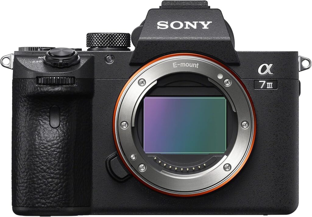 Best Camera for Backpacking - Sony a7iii
