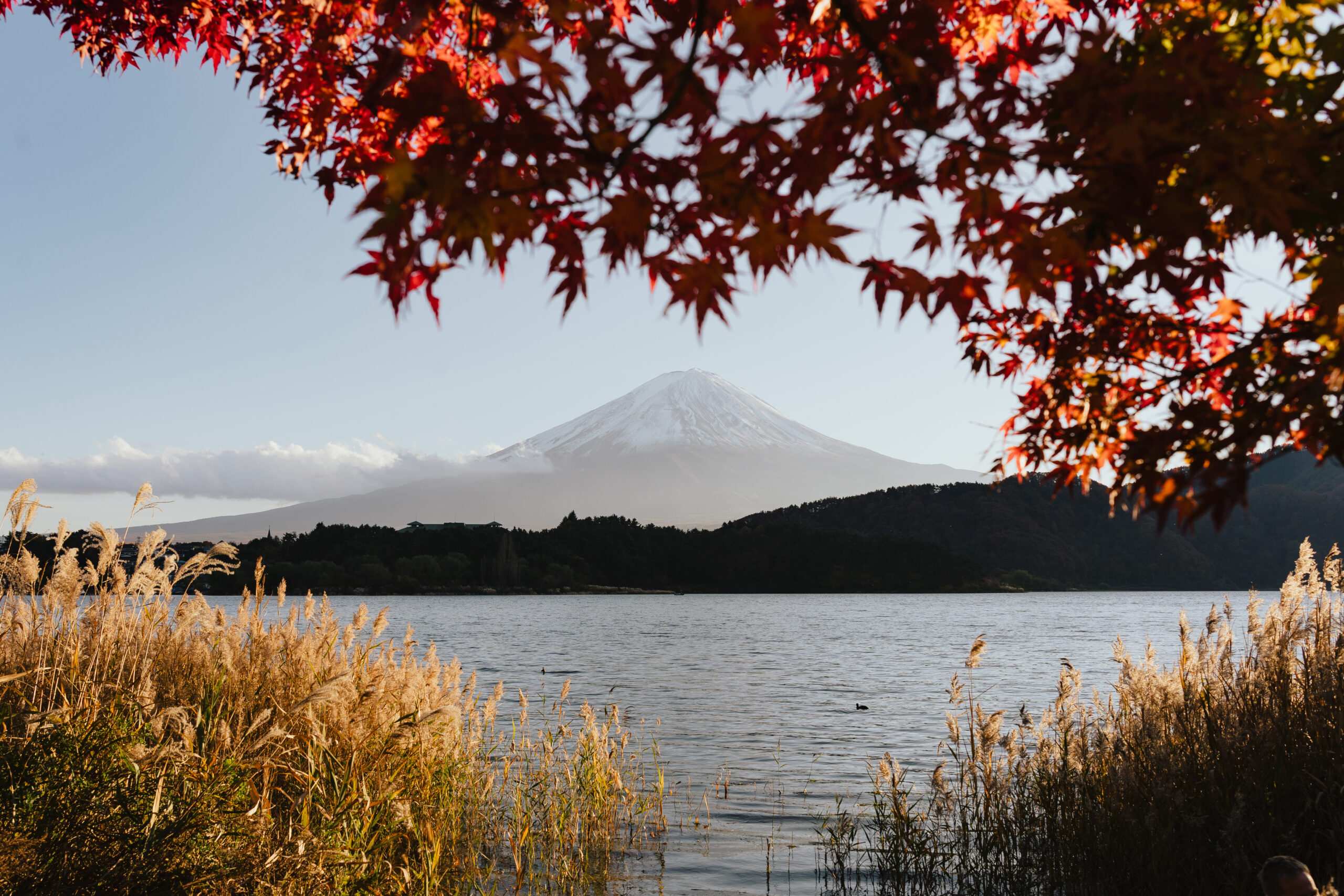 Mount Fuji viewed across a lake in autumn — Japan working holiday travel