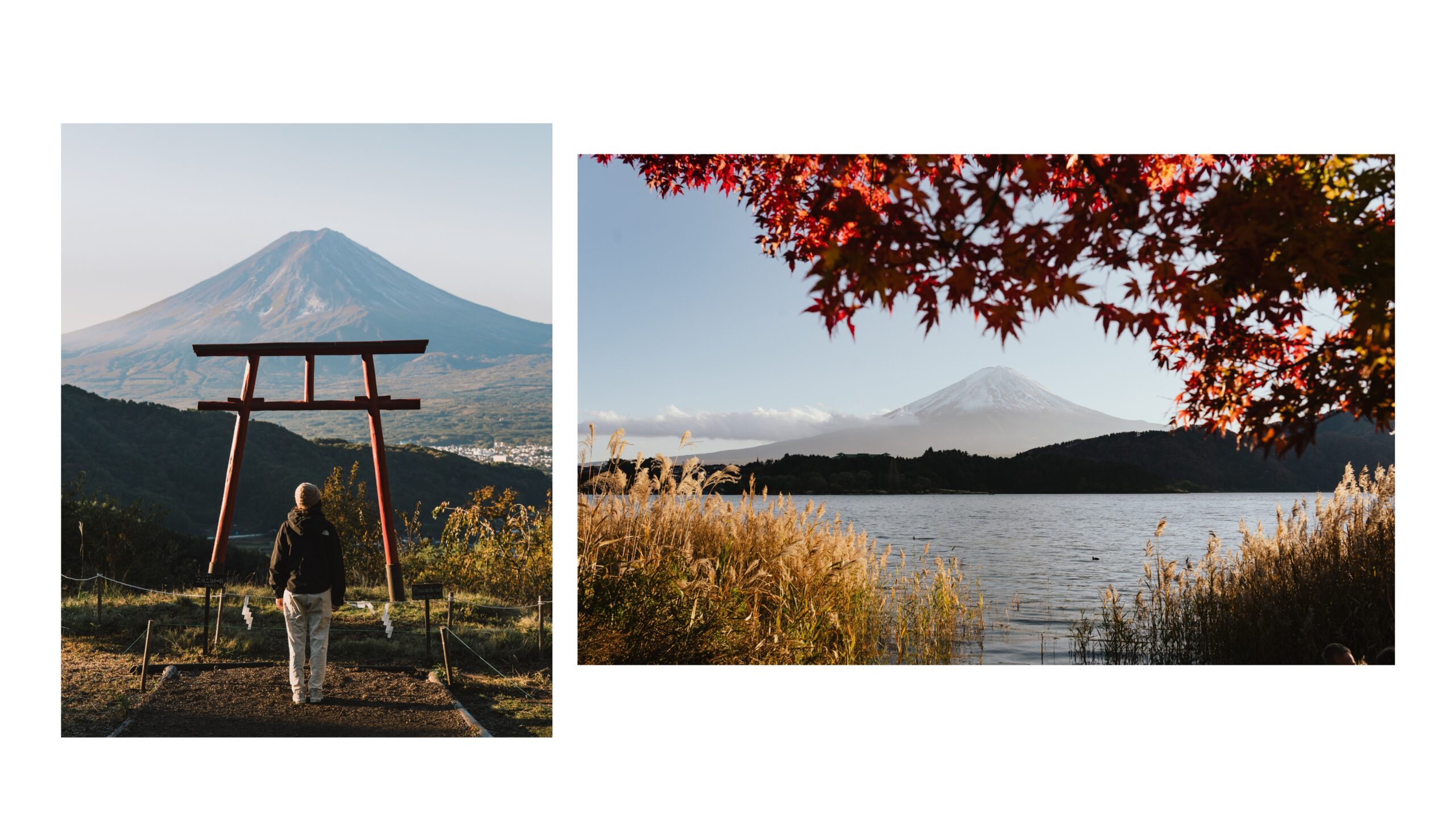 Mt.Fuji in Autumn