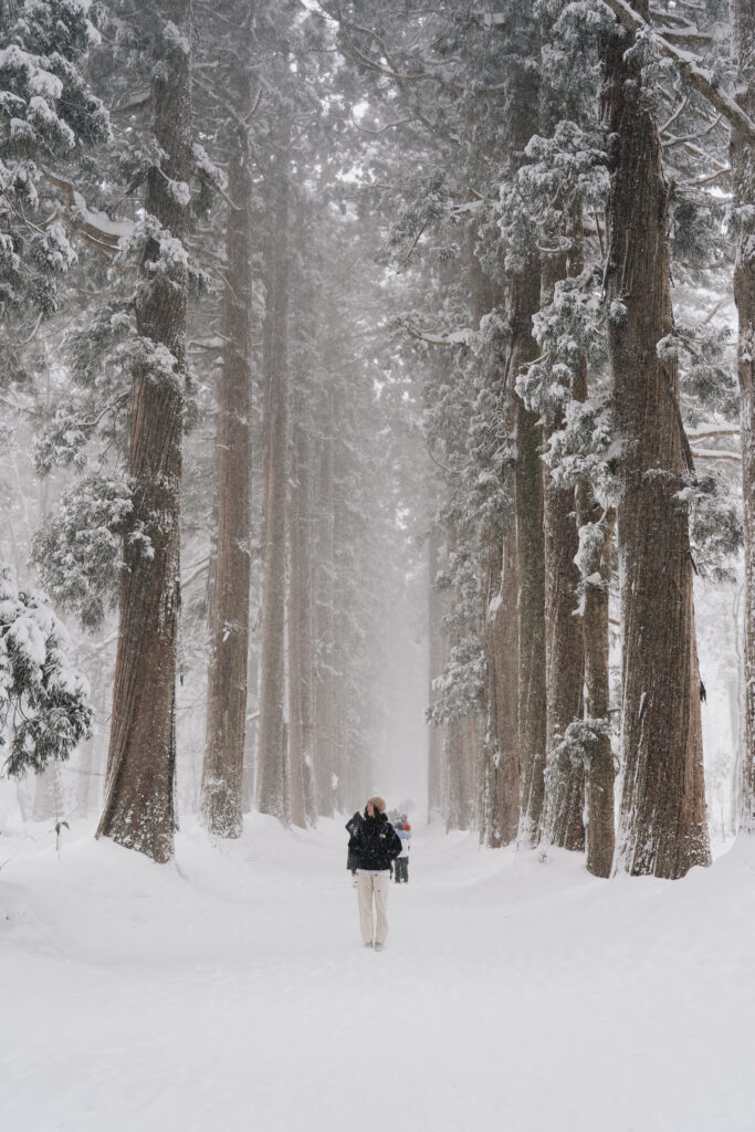 Person standing among towering snow-covered cedar trees in a misty forest near Nozawa Onsen, Japan in winter