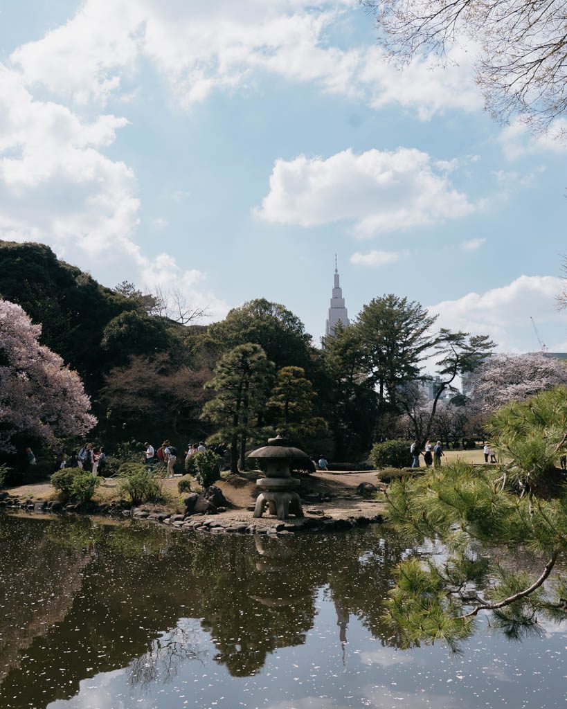Traditional stone lantern beside the pond in Shinjuku Gyoen's Japanese garden