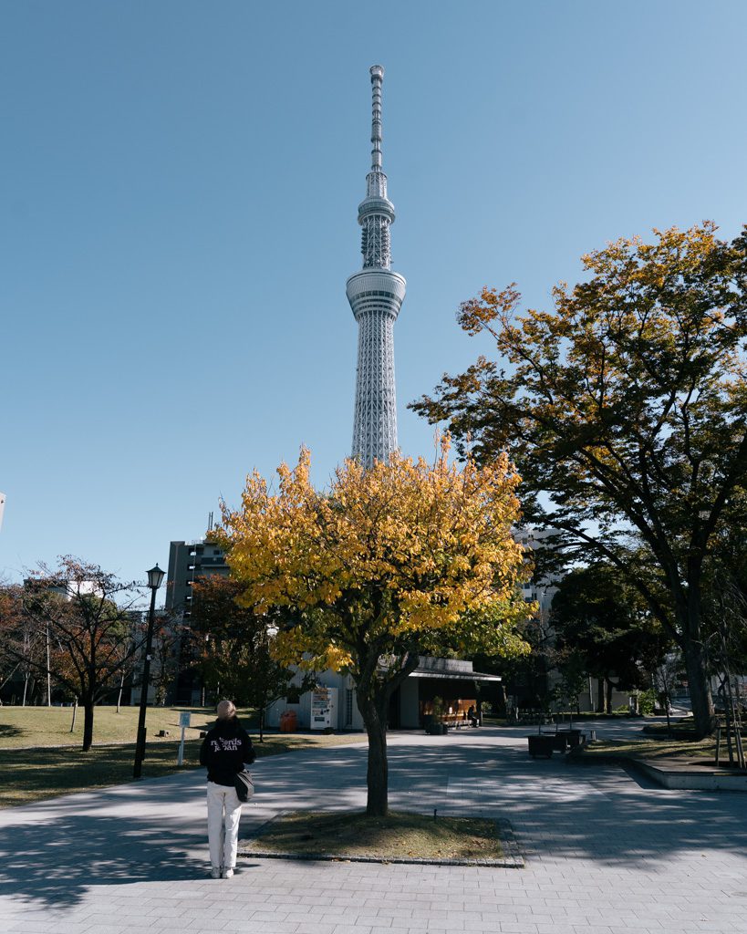 Tokyo Skytree rising above autumn foliage in a nearby park