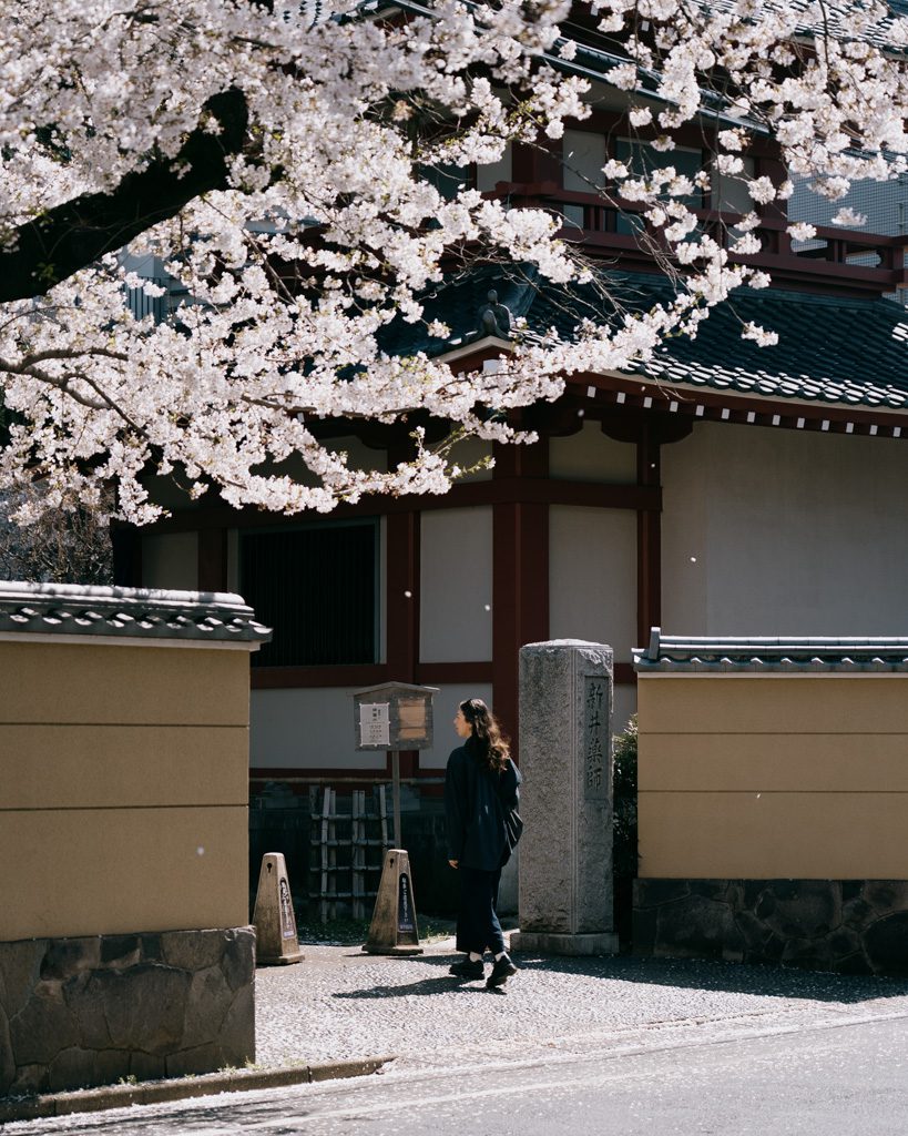 Traditional temple entrance framed by cherry blossom branches on a quiet Tokyo street