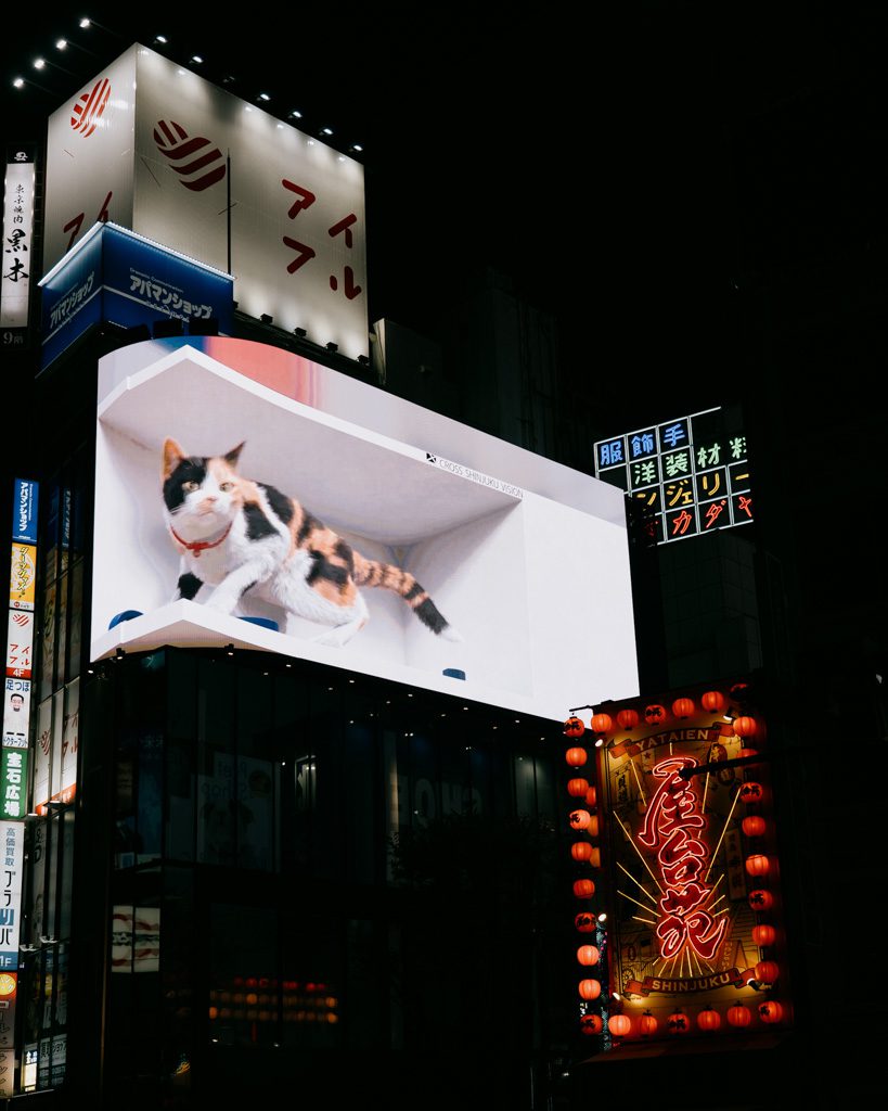 The 3D cat billboard above Shinjuku station at night
