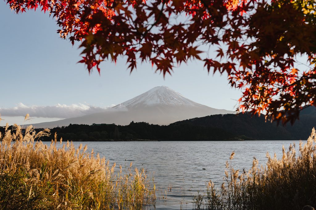 Snow-capped Mount Fuji seen across the lake, framed by red autumn maple leaves on a day trip from Tokyo