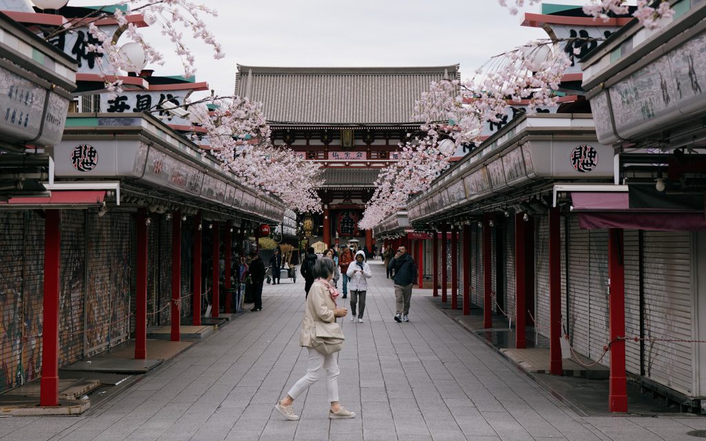 Cherry blossoms lining the empty Nakamise shopping street in Asakusa in the early morning
