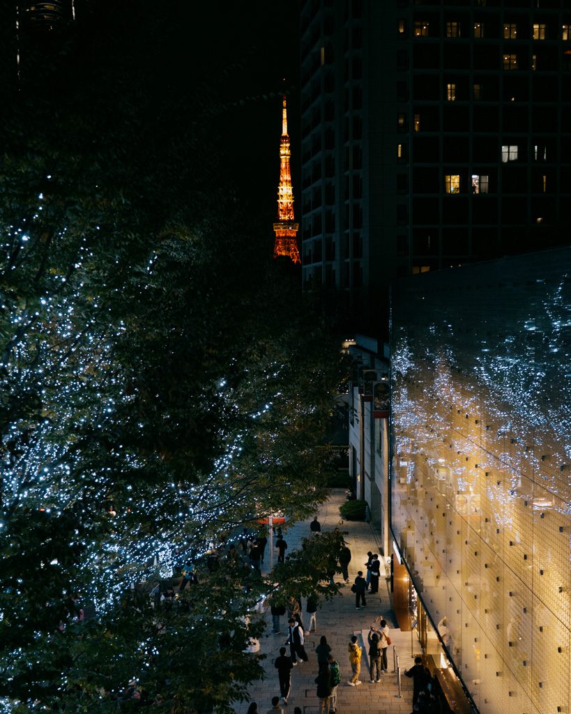 Tokyo Tower lit up at night beyond a tree covered in winter illumination lights in Roppongi