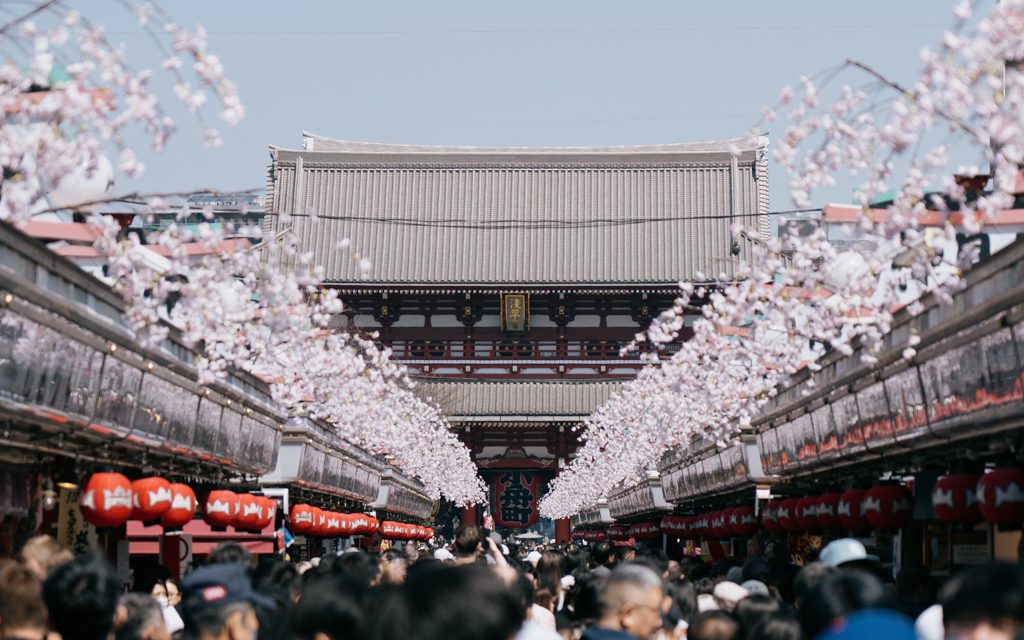 Cherry blossoms framing the entrance to Senso-ji temple with crowds gathered along Nakamise shopping street in Asakusa, Tokyo