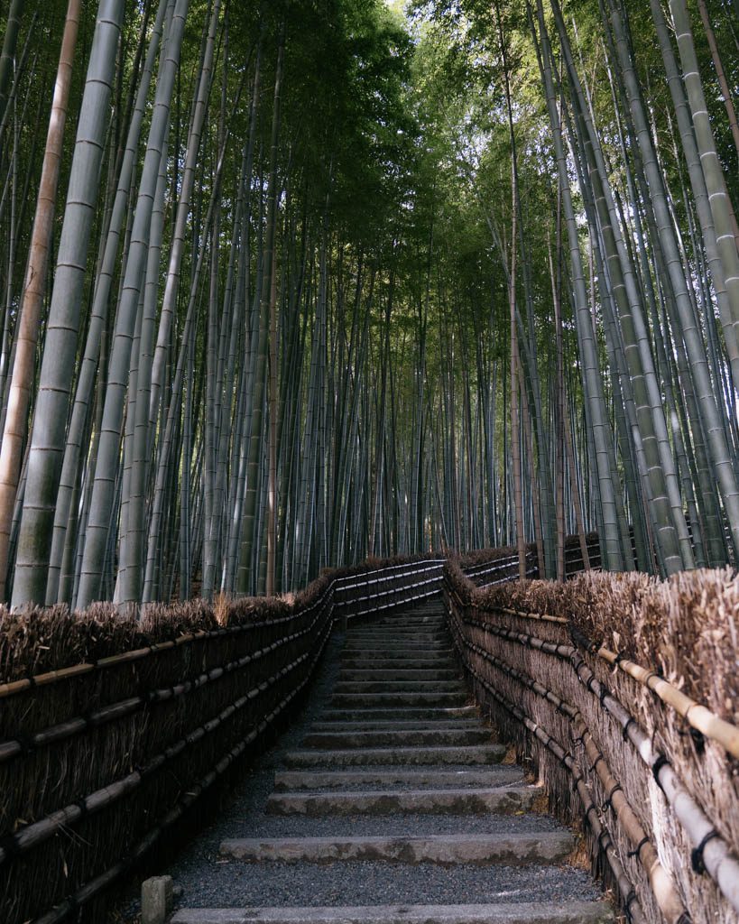 Stone steps leading through a quiet bamboo grove lined with straw fencing at Adashino Nenbutsu-ji
