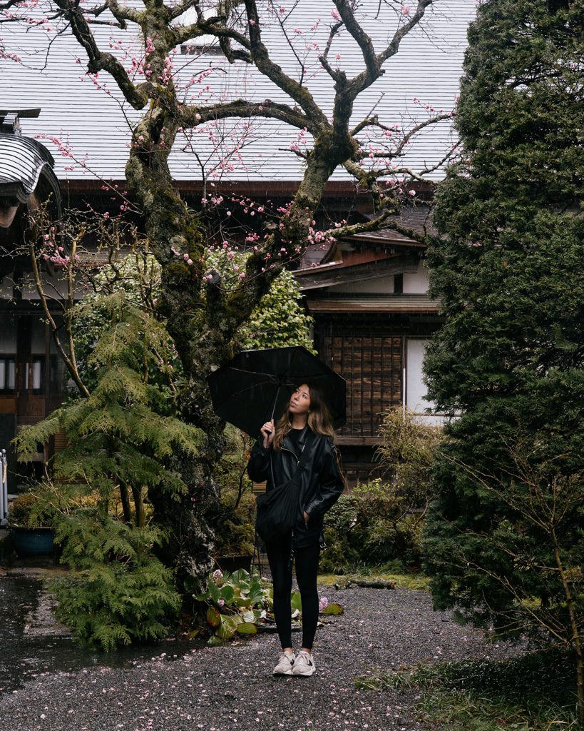 Person sheltering under an umbrella beside a blossoming plum tree in Entsūji Temple's garden