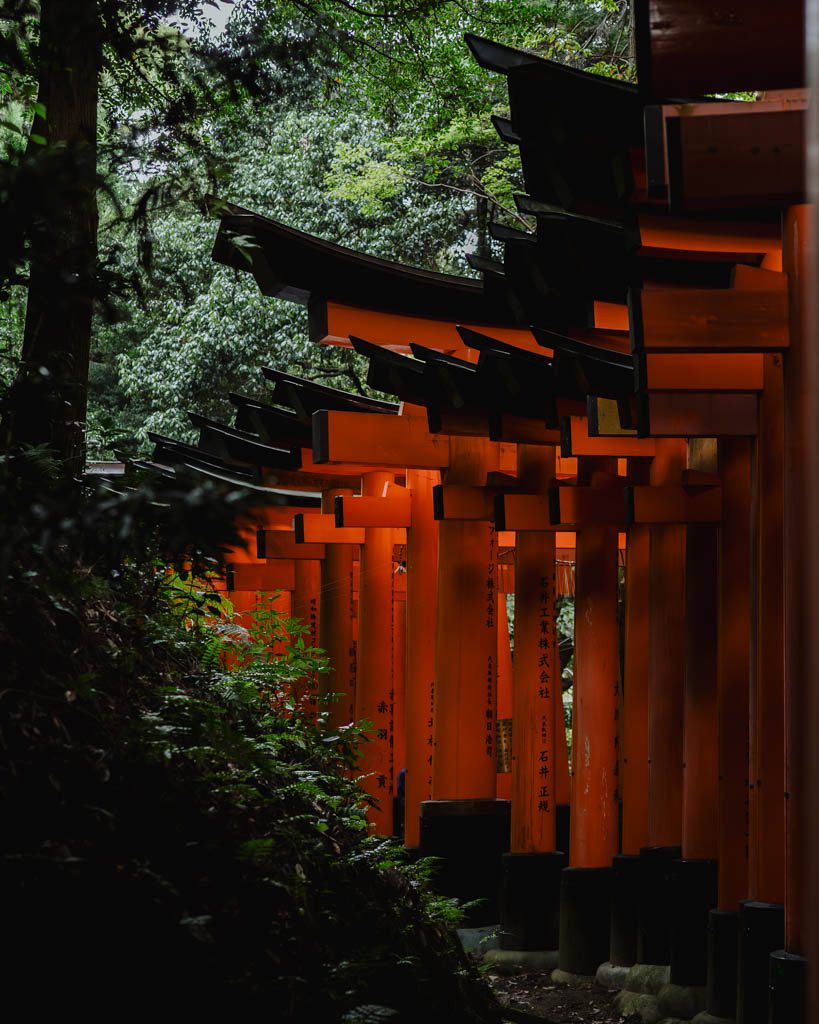 Close-up of orange torii gates lining the path at Fushimi Inari Shrine