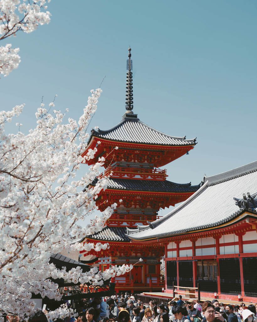 Kiyomizu-dera's pagoda framed by cherry blossoms, with crowds gathered below