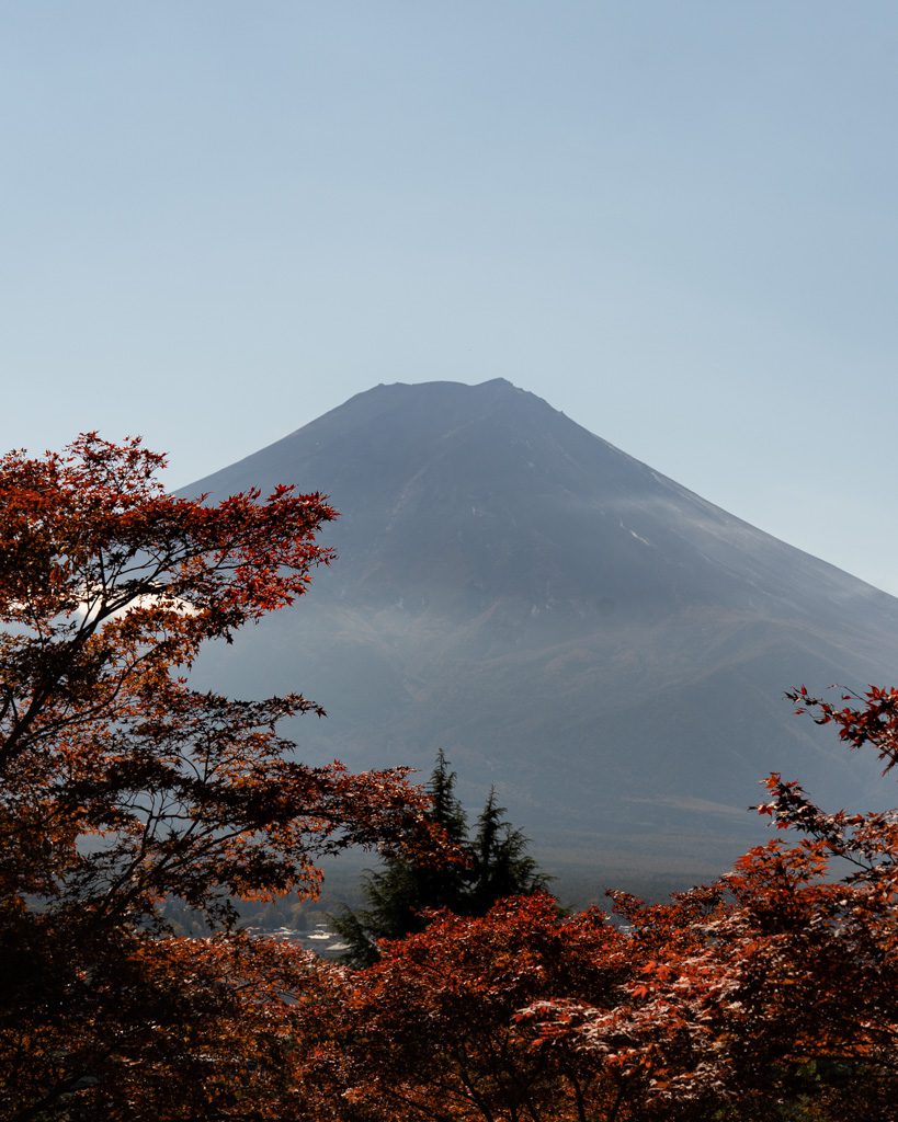 Mt Fuji framed by red autumn leaves under a clear blue sky