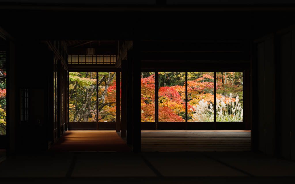 Autumn leaves framed through the windows of a tatami room at Nanzen-ji