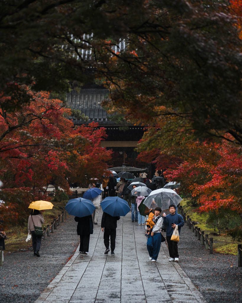 Visitors with umbrellas walking towards the gate at Nanzen-ji in the rain