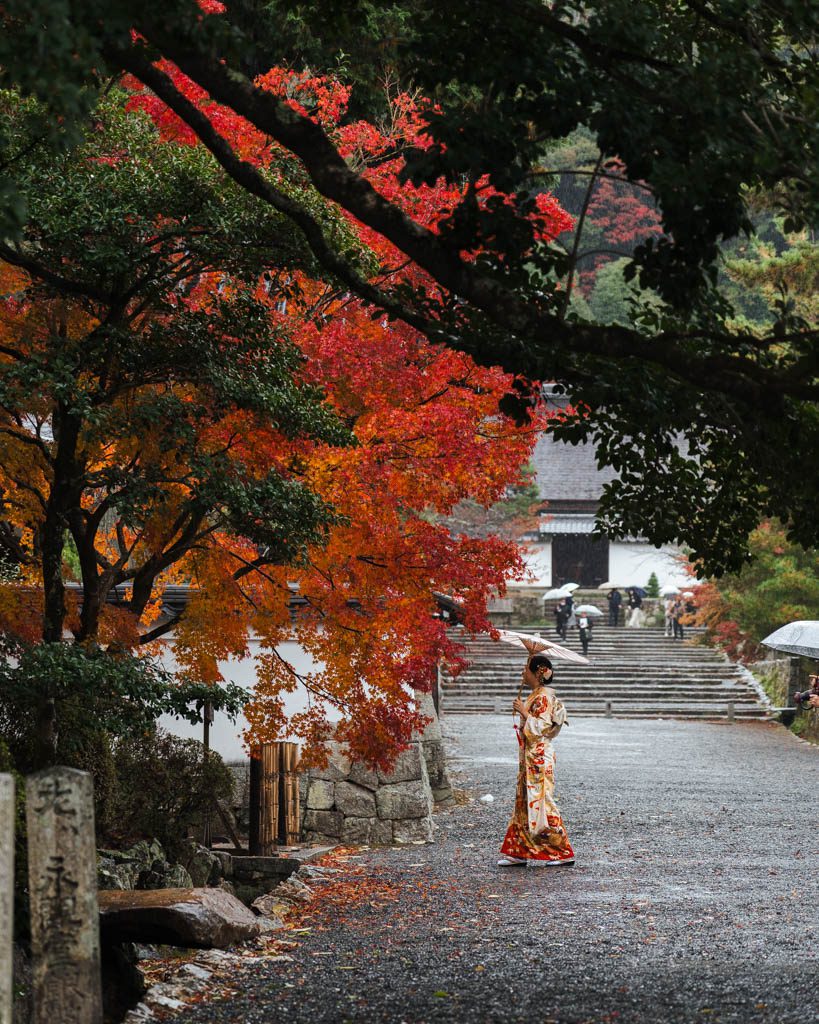 Woman in kimono holding an umbrella beside autumn foliage at Nanzen-ji