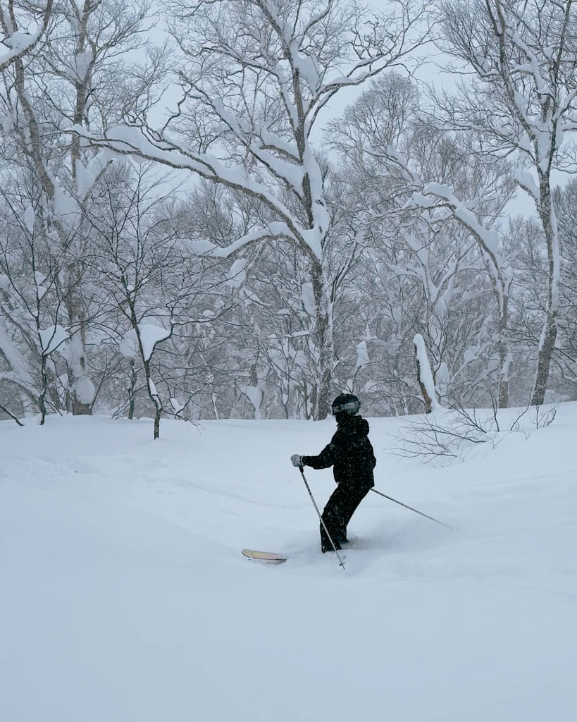 Skier cutting through fresh powder snow between trees in Nozawa Onsen's off-piste terrain