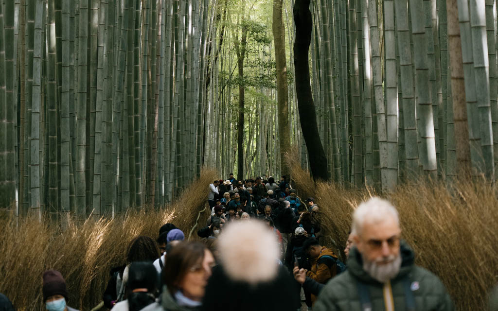 A packed crowd of visitors walking along a narrow path through the Arashiyama bamboo grove in Kyoto, with tall bamboo stalks and dry grass on either side