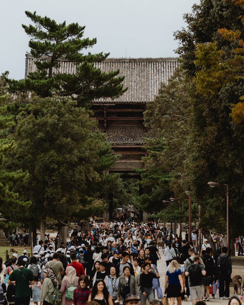 Crowds of visitors walking along a tree-lined path towards the Nandaimon gate at Todai-ji in Nara, with a deer at the edge of the frame