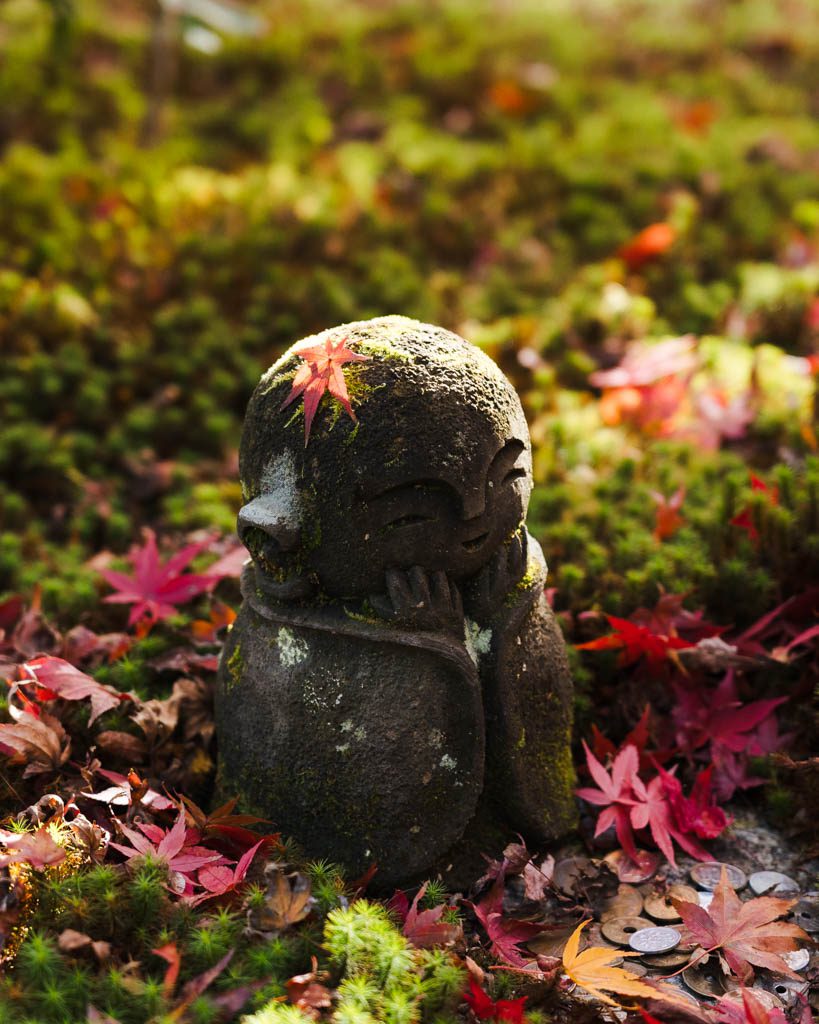 A small moss-covered stone Jizo statue with a red maple leaf on its head, surrounded by fallen autumn leaves and coins at Enko-ji temple in Kyoto