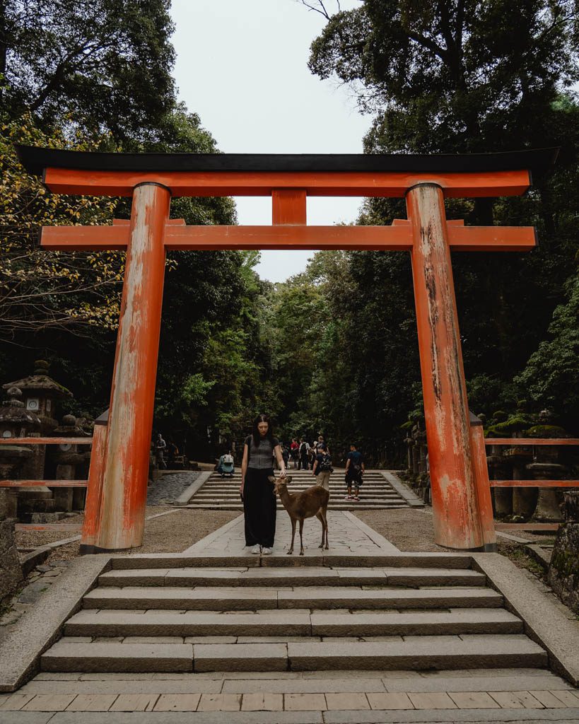 A woman stroking a deer beneath a large orange torii gate, with stone steps and tall trees behind